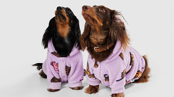 Two dachshund dogs wearing purple pajamas with cartoon prints, looking upward on a white background