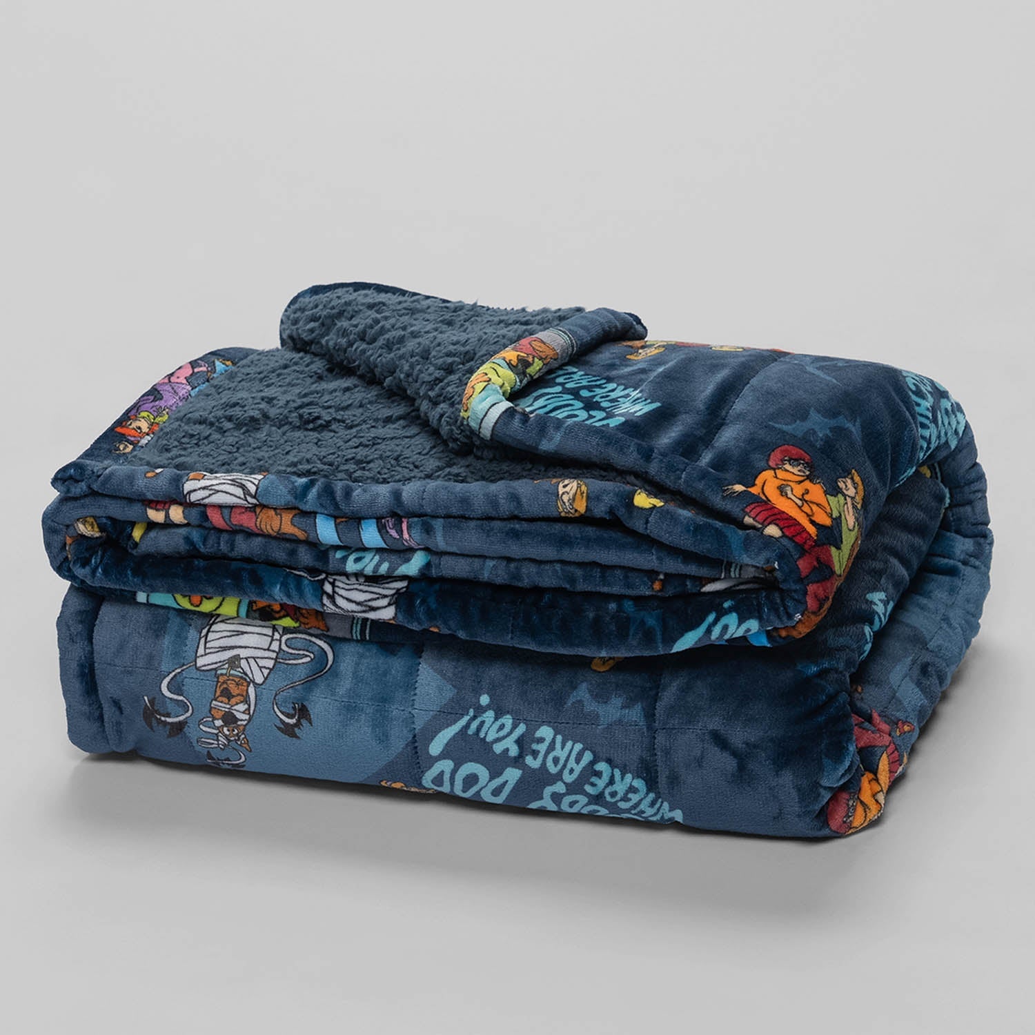 Scooby Doo Sherpa Blanket Licensed – The Oodie USA