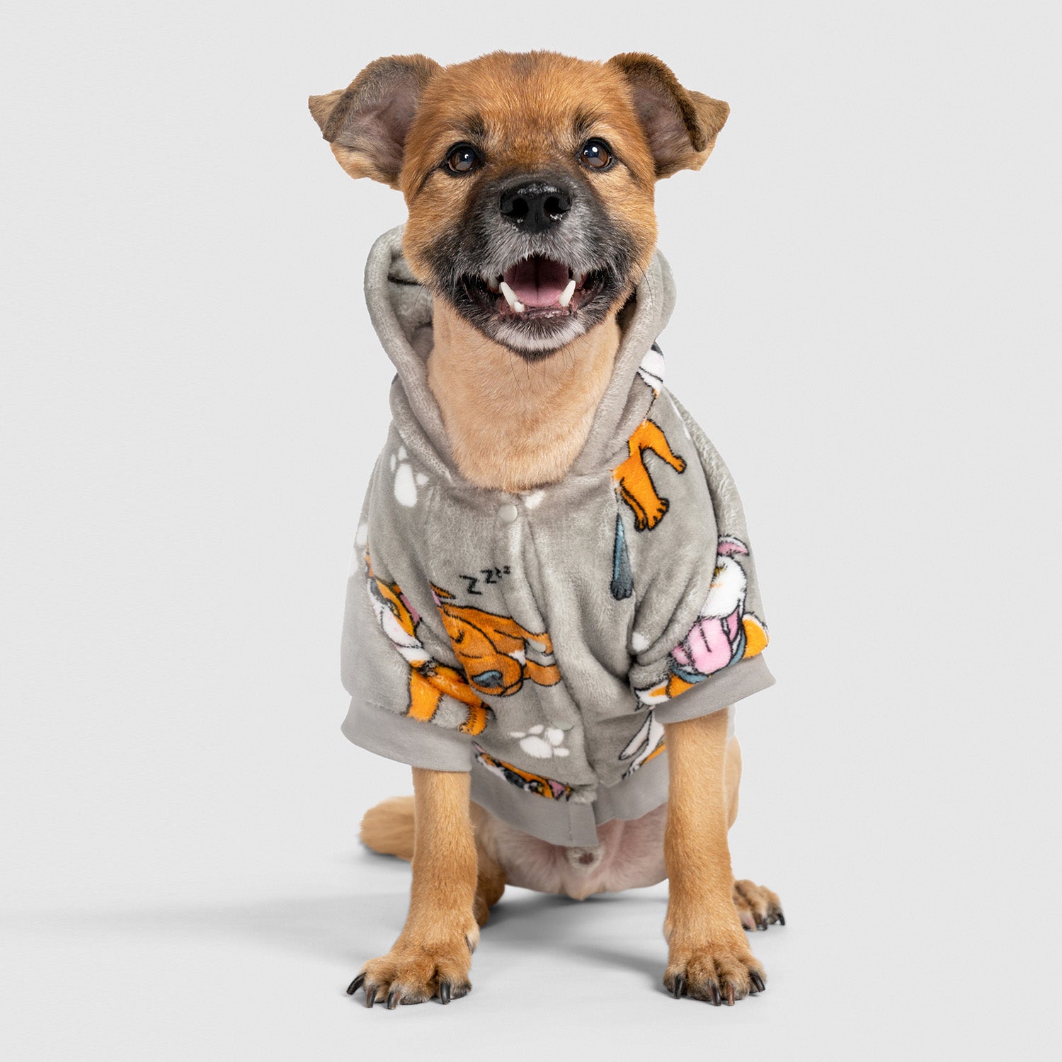 Staffy dog clearance clothes