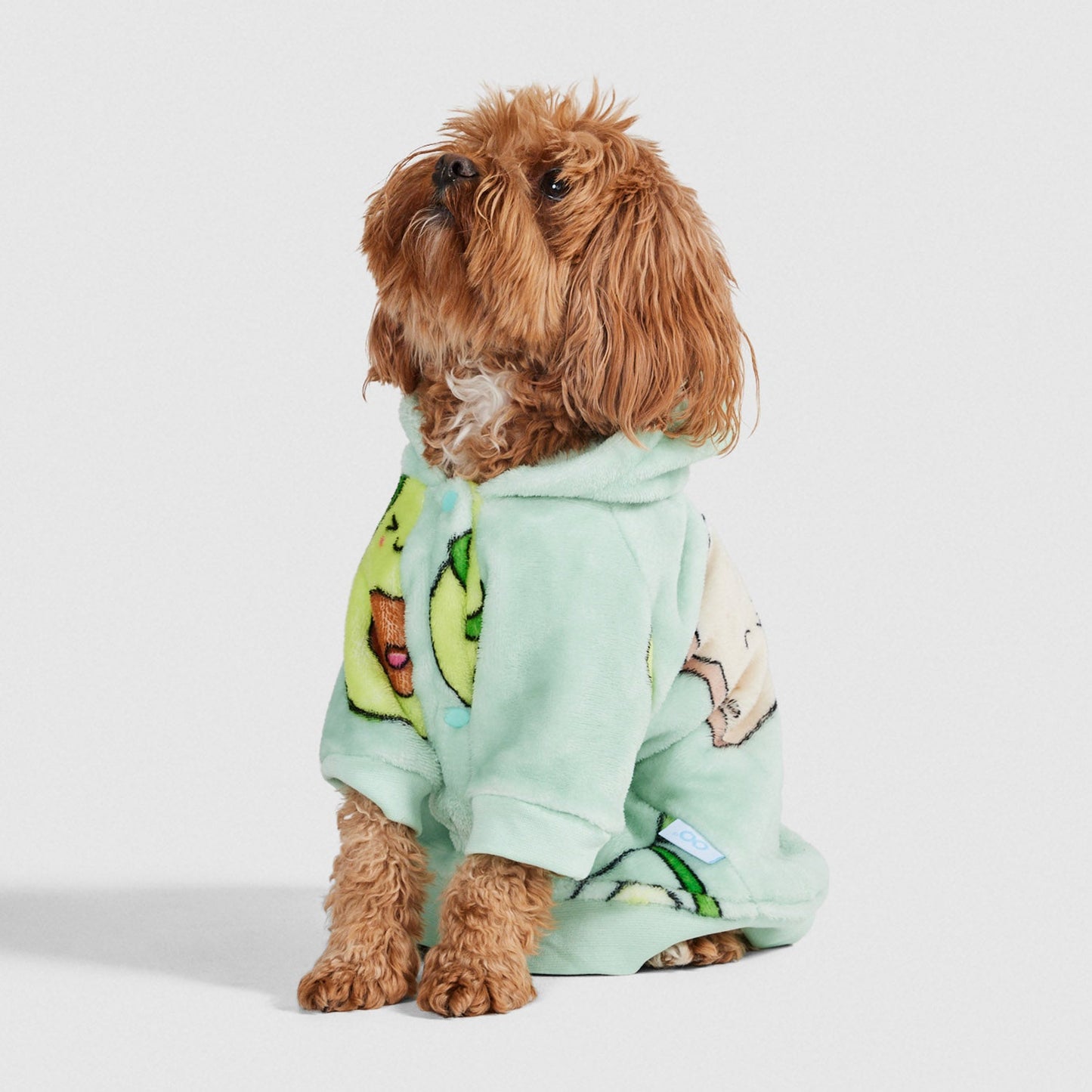 Avocado Toast – The Oodie USA - Main Image