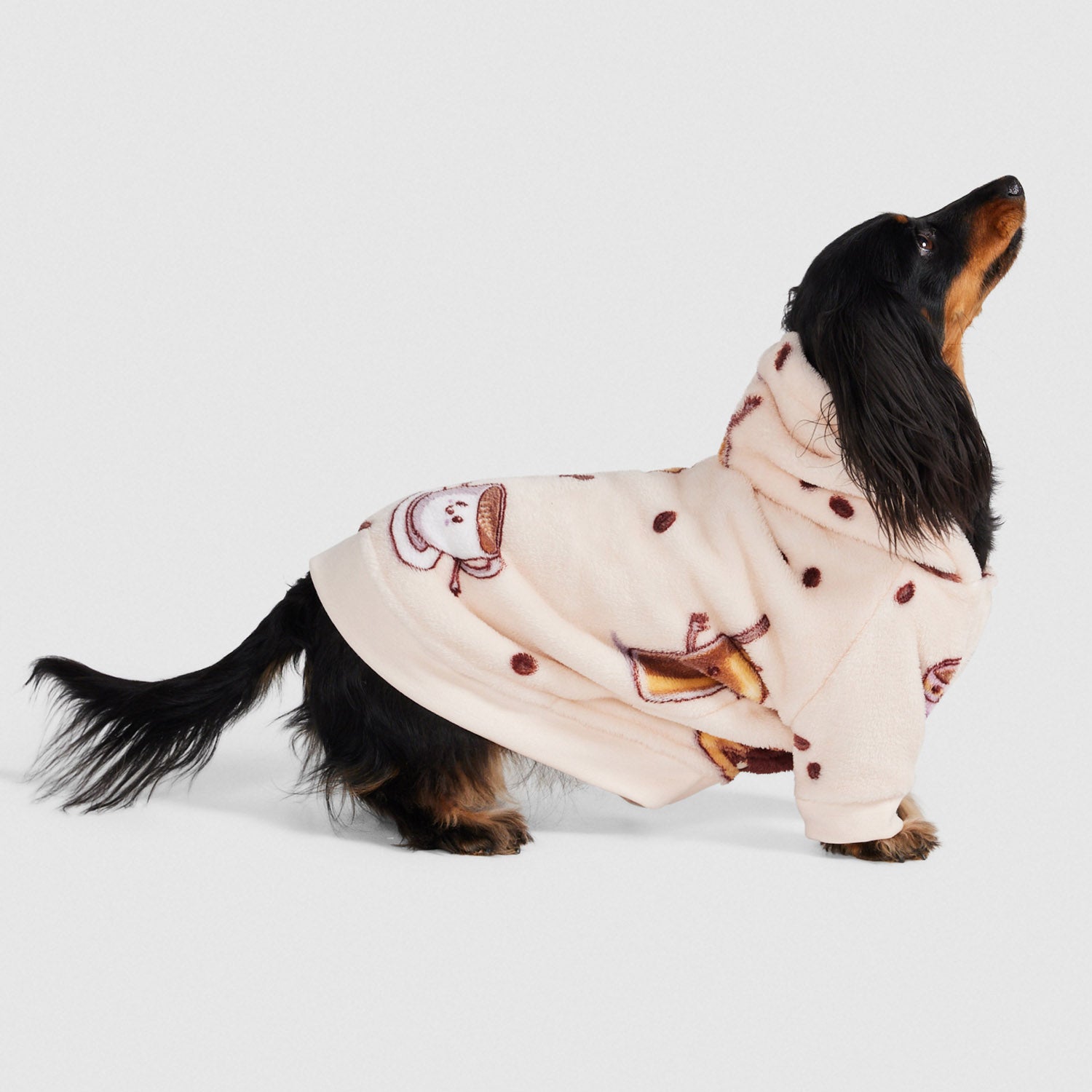 Black and brown dachshund dog wearing a light pink hoodie with coffee cup and coffee bean patterns, looking upward.