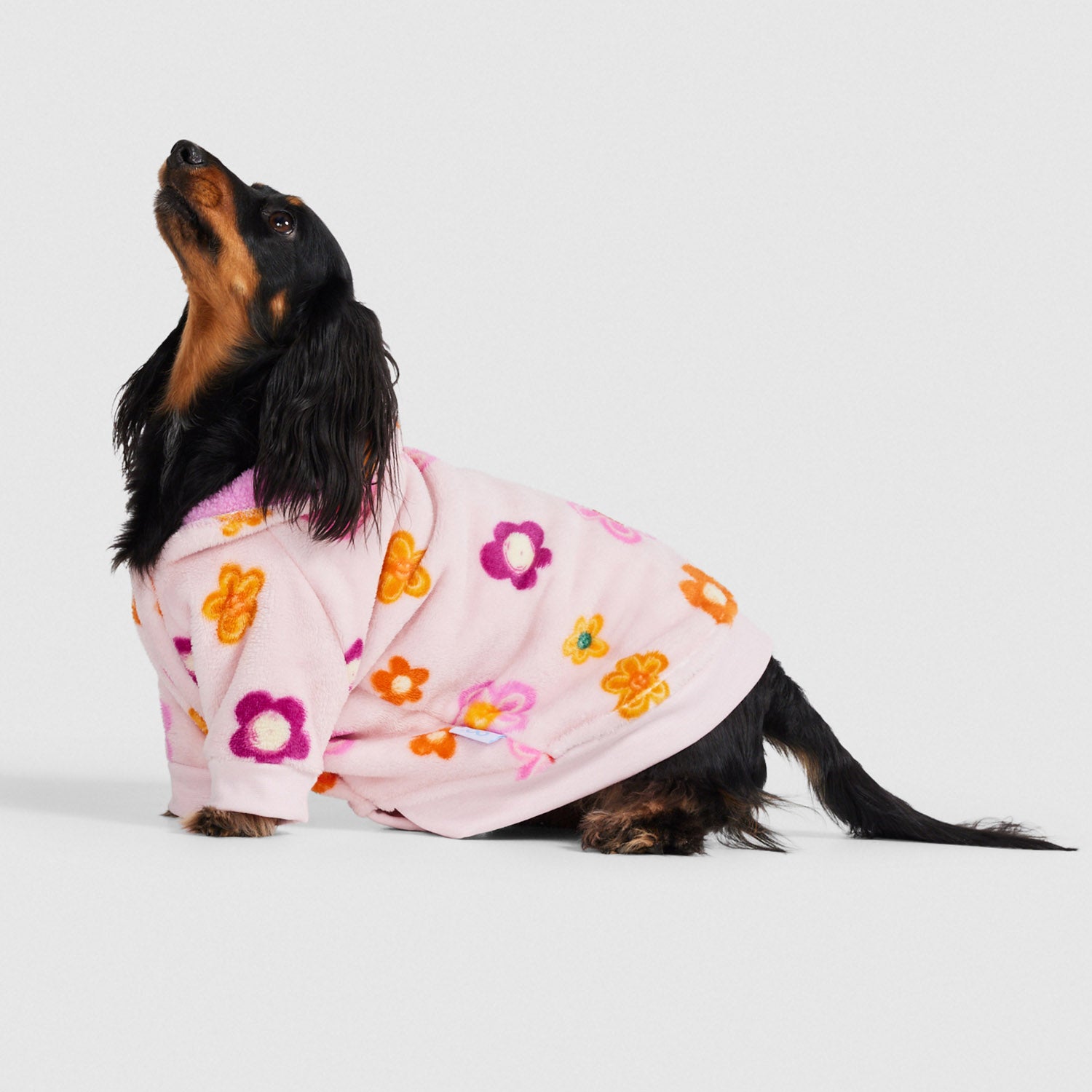 Cavoodle pyjamas discount